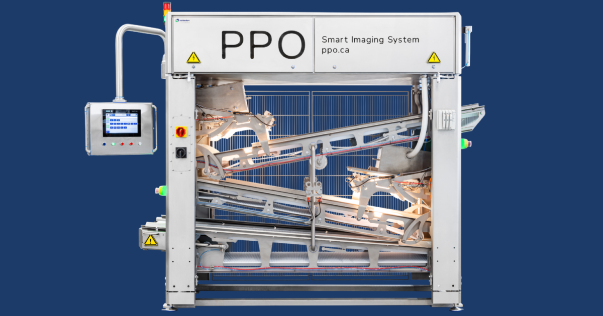Plukon Ommel | Hellebrekers